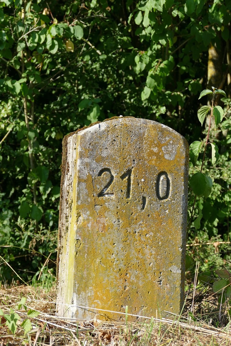 Professional Milestones